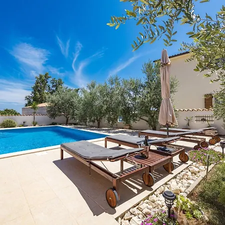 Javor By Istrabook Peruški