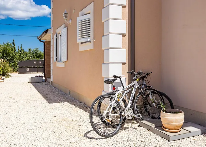 Javor By Istrabook *